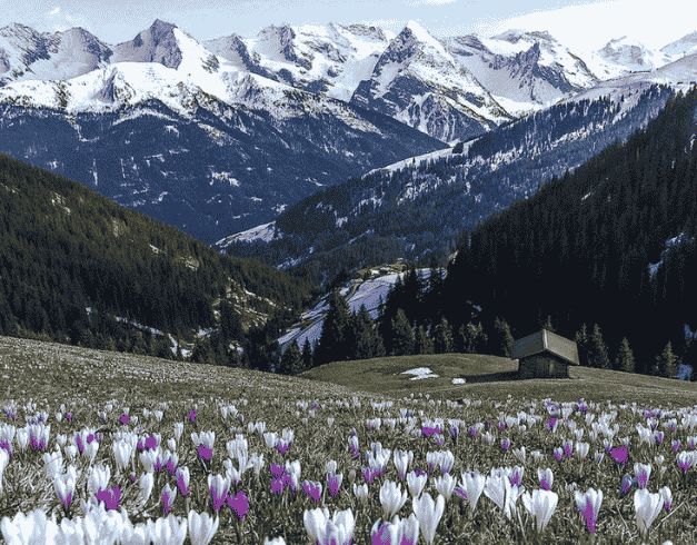 Tour China 2026 6D Best Saver Chongqing Jinfoshan Winter Snow 1
