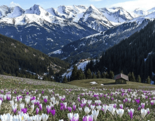 Tour China 2026 6D Best Saver Chongqing Jinfoshan Winter Snow