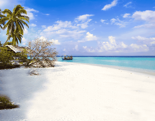 1 DAY TOUR EXPLORE PULAU PARI PERIODE NOV - DEC 2020 FROM RP. 935.000/PAX 1