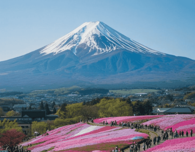 Tour Japan 7D 2026 Spring Golden Route By Ana 1
