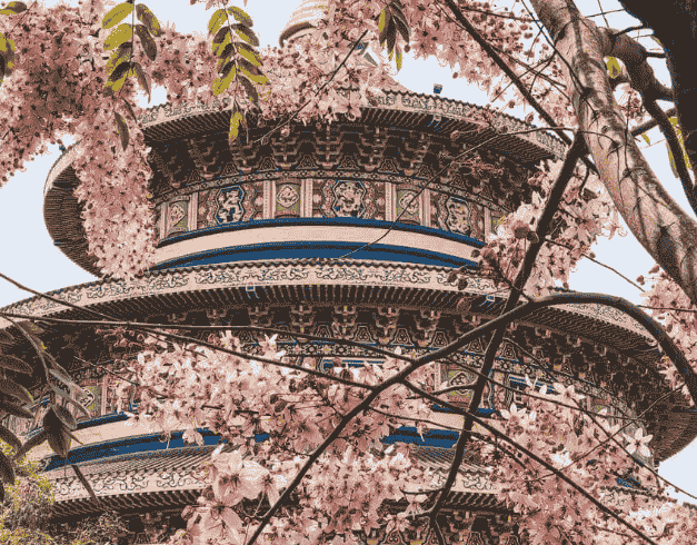 Tour Taiwan 6D 2025 Taichung Taipei Sun Moon Lake 1