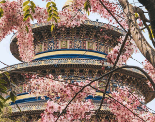 Tour Taiwan 6D 2025 Taichung Taipei Sun Moon Lake