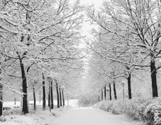 Tour Korea 8D6N Super Winter New Year Holiday Korea + Everland By Garuda Indonesia Dep Date 22 & 26 Dec 2023 1
