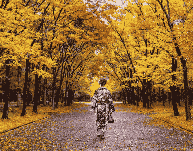 7D Autumn Super Sale Golden Route Japan On Oct 2023 By Malaysia Airline (wh51) 1