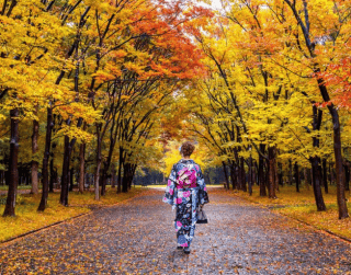 7D Autumn Super Sale Golden Route Japan On Oct 2023 By Malaysia Airline (wh51)