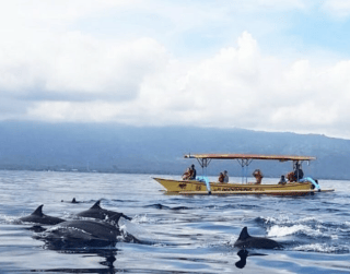Land Tour 3D2N BALI ( DOLPHIN LOVINA ) April 2023-April 2024