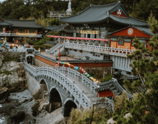 Paket Tour Korea 5D Supersale Direct Flight Nami Island + Sky Glass Bridge 2025