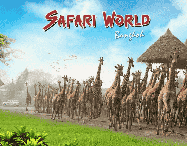 Crazy Deal 4D3N Bangkok Safari + Marine Park By Air Asia Periode Keberangkatan : Now – Agustus ’23 (wh60) 1