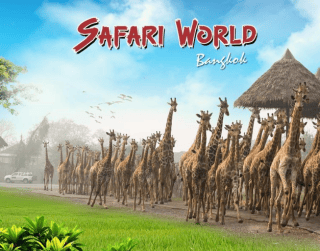 Crazy Deal 4D3N Bangkok Safari + Marine Park By Air Asia Periode Keberangkatan : Now – Agustus ’23 (wh60)