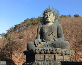 Tour Korea 2025 8D Super Sale Fabulous Winter Ski Korea