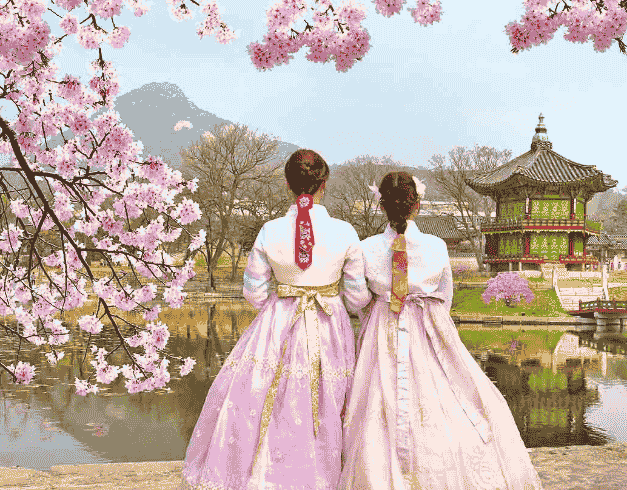 (wh51) 5D Tour Korea Popular Cherry Blossom (29&30 Apr'20) By Ga 1