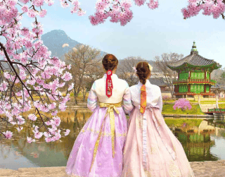 (wh51) 5D Tour Korea Popular Cherry Blossom (29&30 Apr'20) By Ga