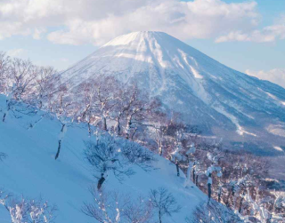 Tour Japan 8D Year End Frozen Hokkaido + Disneyland