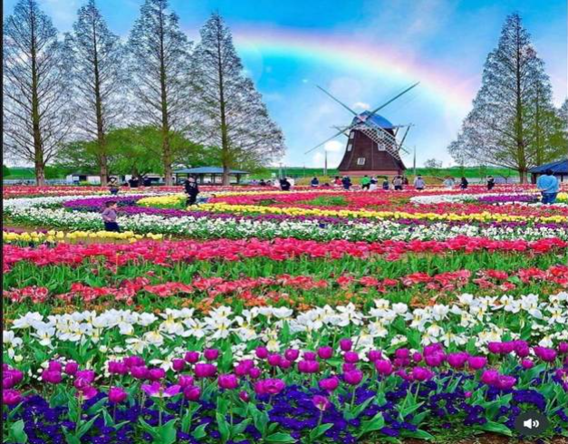 Tour Thailand 4D Bangkok + Khao Yai 1