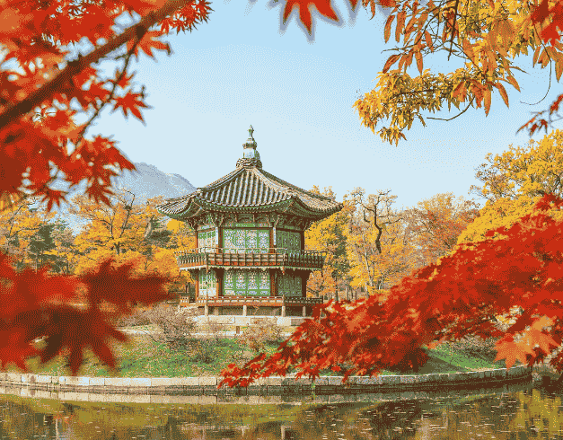Tour Korea 2025 6D Korea Sonata Glass Bridge + Brunei 1