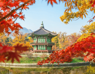 Tour Korea 2025 6D Korea Sonata Glass Bridge + Brunei