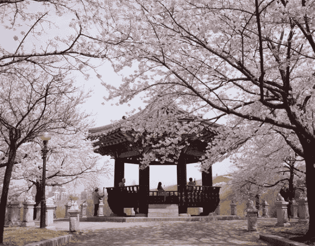 (wh01) 6D4N Mono Tour Korea Consortium (mar-may'20) By Mu 1