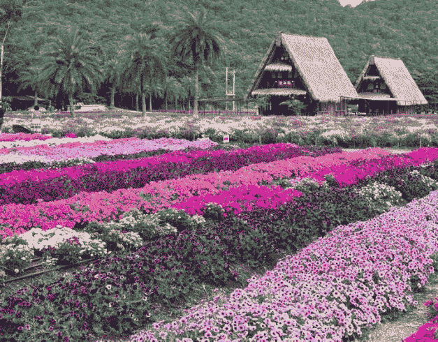 Tour Thailand 5D 2026 Special Lebaran Sale Bangkok + Khao Yai 1