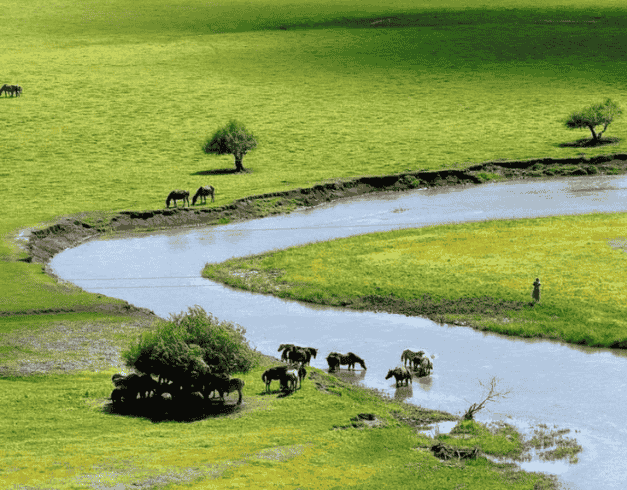 Tour China 2026 9D Inner Mongolia Muslim 1