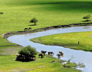 Tour China 2026 9D Inner Mongolia Muslim