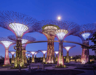 (WH01) LAND TOUR 3D / 4D SINGAPORE DUCK TOUR & GARDENS BY THE BAY DEP : MAY - DEC'19