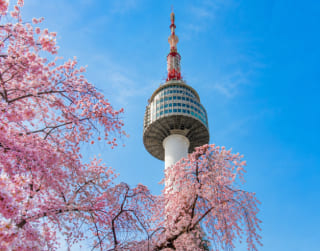 Tour 6D Best Saver Seoul Tour
