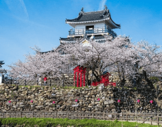 Tour Japan 8D 2025 Golden Route + Nara By Tr