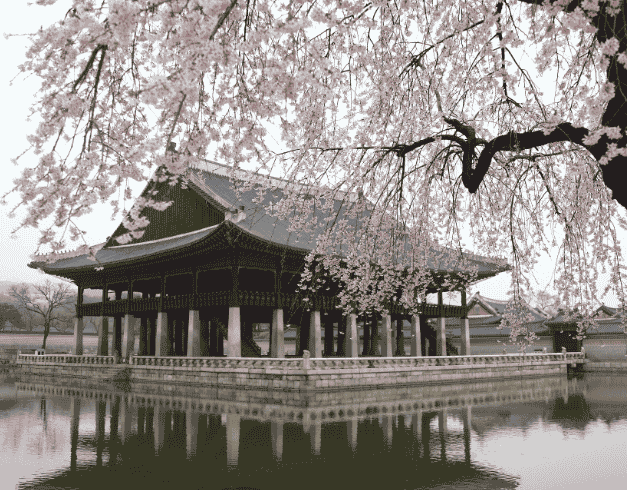 Tour Korea 26 & 30 Dec '24 7D Exciting New Year Holiday Korea + Lotte World Theme Park   By Garuda Indonesia *premium Airlines* Dep : 26 & 30 Dec '24 (wh51 - T03) 1