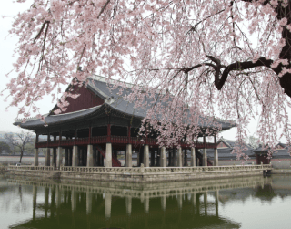 Tour Korea 26 & 30 Dec '24 7D Exciting New Year Holiday Korea + Lotte World Theme Park   By Garuda Indonesia *premium Airlines* Dep : 26 & 30 Dec '24 (wh51 - T03)