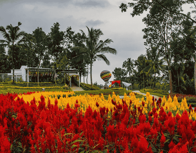 (WH58) 5 DAYS SEMARANG – JOGJA TOUR On 26 December 2020  2