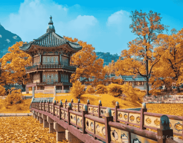 7D Korea Vietnam Nami Sorak Seoul Saigon Cruise 1