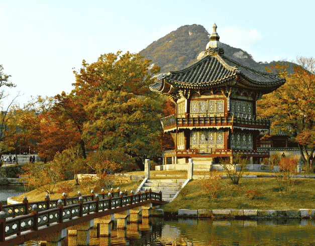 Tour Korea 6D Nami Island 3 Kota Eksplor 2026 | Callista Tour 1