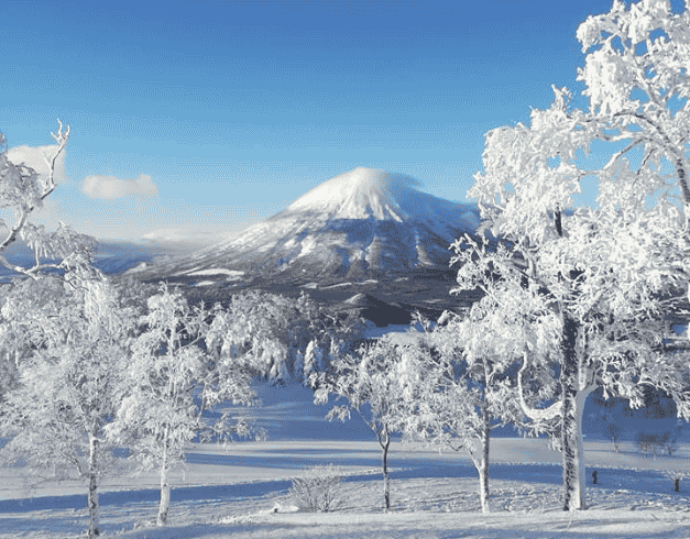 Tour Japan 8D 2026 Winter Hokkaido Sapporo By Ana 1