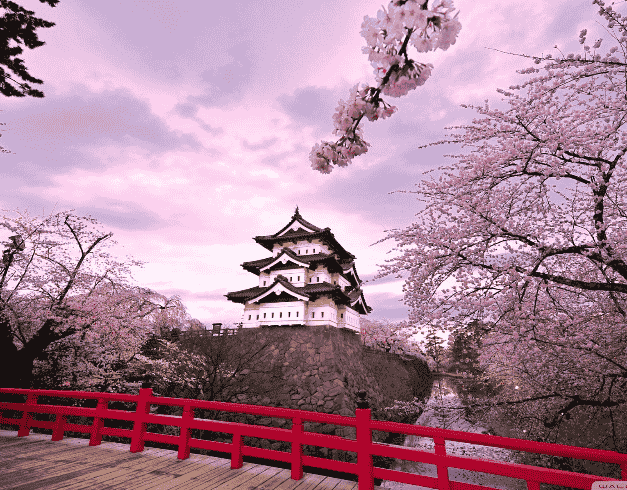 6D Korea Cherry Blossom + Nami Island  (nami Island – Seoul) Long Weekend Edition Dep 16 Mar (wh05) 1