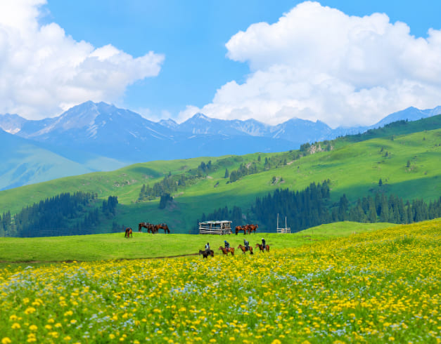 Tour 11D China Silk Road + Xinjiang Free Camel Ride 1