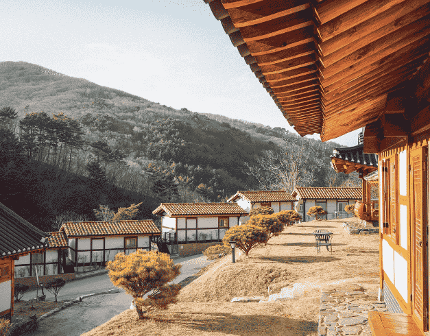 Tour Korea 6D Amazing Crazy Spring Korea 1