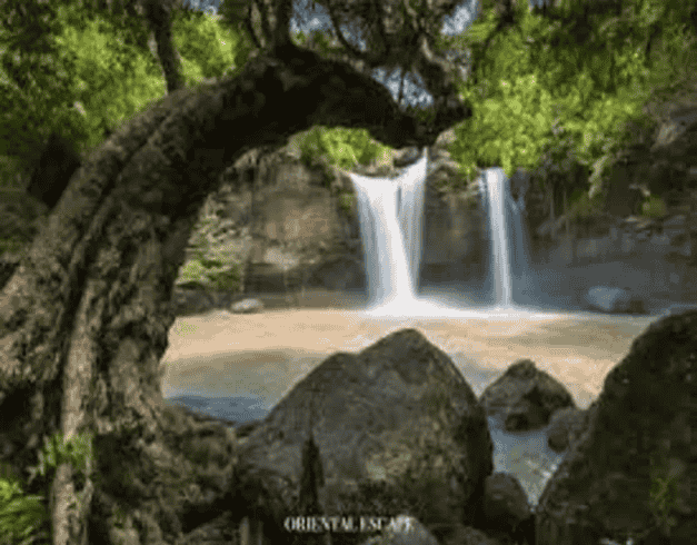 4D3N Bangkok Pattaya + Nongnooch Village by AirAsia (Now - Mar 2024) 1