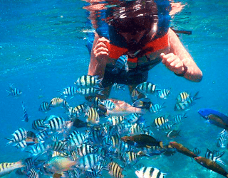 (WH57) 3D2N EXPLORE PULAU PARI (Kepulauan seribu ) periode LOW SEASON MIN 2 PAX