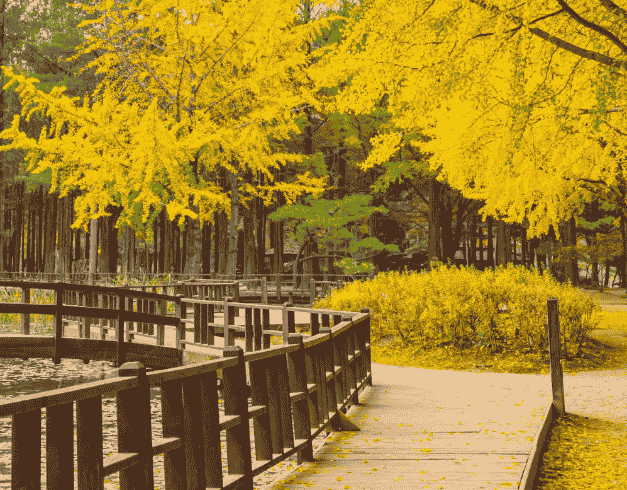 Paket Tour Korea 5D Korea Sonata + Skywalk Glass Bridge By Garuda Indonesia 2025 1