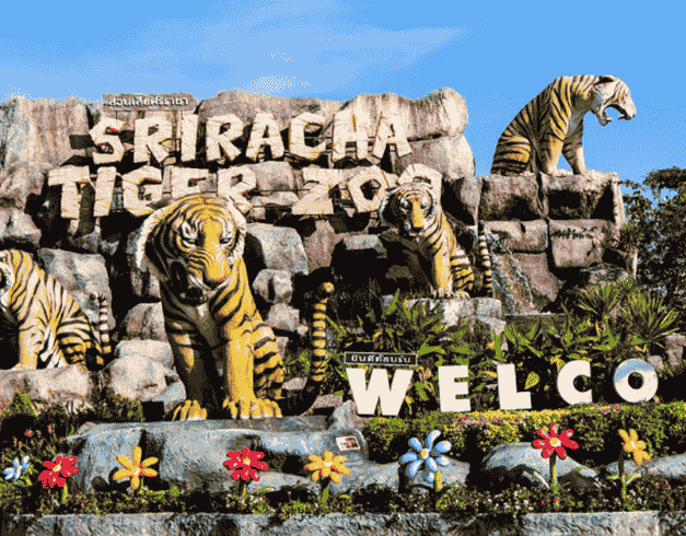 Tour Thailand 2025 Land Tour Only 4D3N Bangkok Sri Racha Tiger Zoo Periode Jan - Mar 2025 (wh60-t05) 1