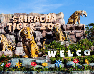 Tour Thailand 2025 Land Tour Only 4D3N Bangkok Sri Racha Tiger Zoo Periode Jan - Mar 2025 (wh60-t05)