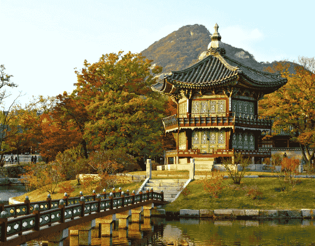Paket Tour 5D Super Sale Korea Sonata + Sky Walk Glass Bridge  1