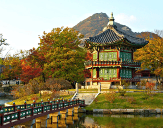 Paket Tour 5D Super Sale Korea Sonata + Sky Walk Glass Bridge 