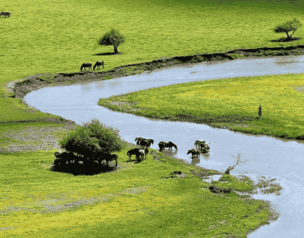 Tour China 2026 8D Inner Mongolia  1