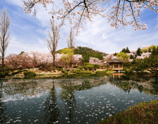 Supersale 7D Korea Nami + Byeongbangchi skywalk & Trick Eye Museum By SQ Dep 29 Mei'19 (WH35)