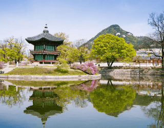 Super Crazy Sale Korea 6D4N By Sq Dept Jun - Sep 2023