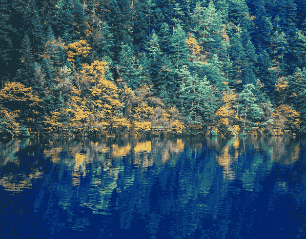 Tour China 2025 9D7N Chongqing Jiuzhaigou Chengdu By Air China  Dep 16 Jan & 6 Mar 2025 (wh 01 - T03) 1
