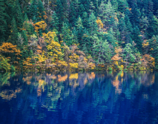 Tour China 2025 9D7N Chongqing Jiuzhaigou Chengdu By Air China  Dep 16 Jan & 6 Mar 2025 (wh 01 - T03)