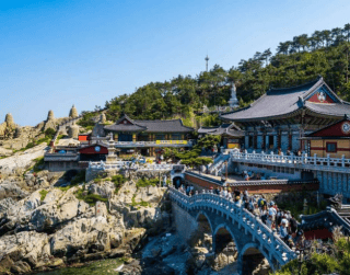 Tour Korea 2026 7D Korea Seoul Nami Island + Busan By Sq 