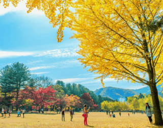 5D3N Korea Express + Nami Island By Sq Periode Jul - Sep'19 (wh47)
